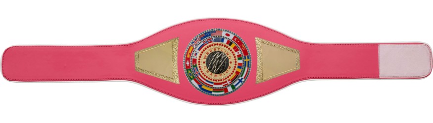 WRESTLING CHAMPIONSHIP BELT PROFLAG2/FLAG/G/WRESTGEM - VARIETY OF LEATHER COLOURS AVAILABLE WRESTLING CHAMPIONSHIP BELT PROFLAG2/FLAG/G/WRESTGEM - VARIETY OF LEATHER COLOURS AVAILABLE